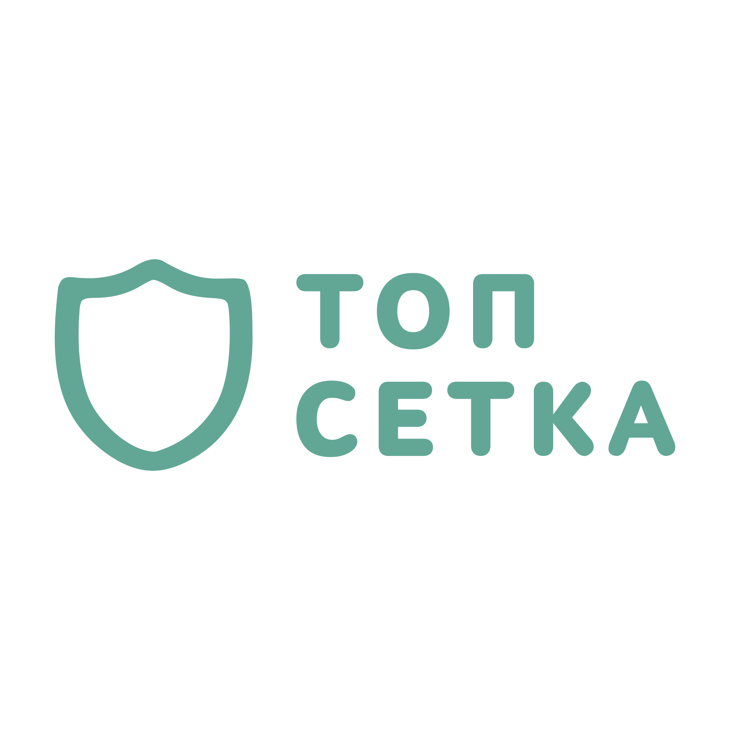 Логотип компании «топ сетка»