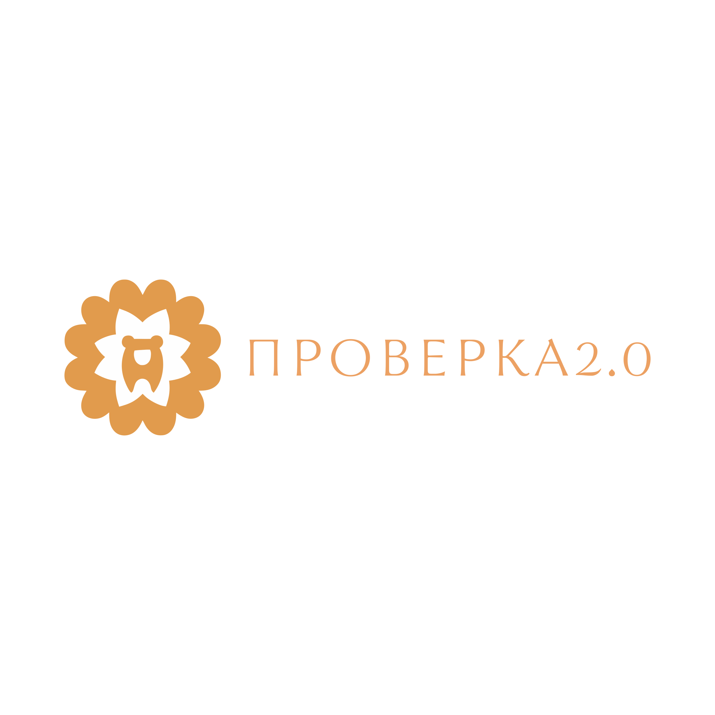 Логотип компании «Проверка2.0»