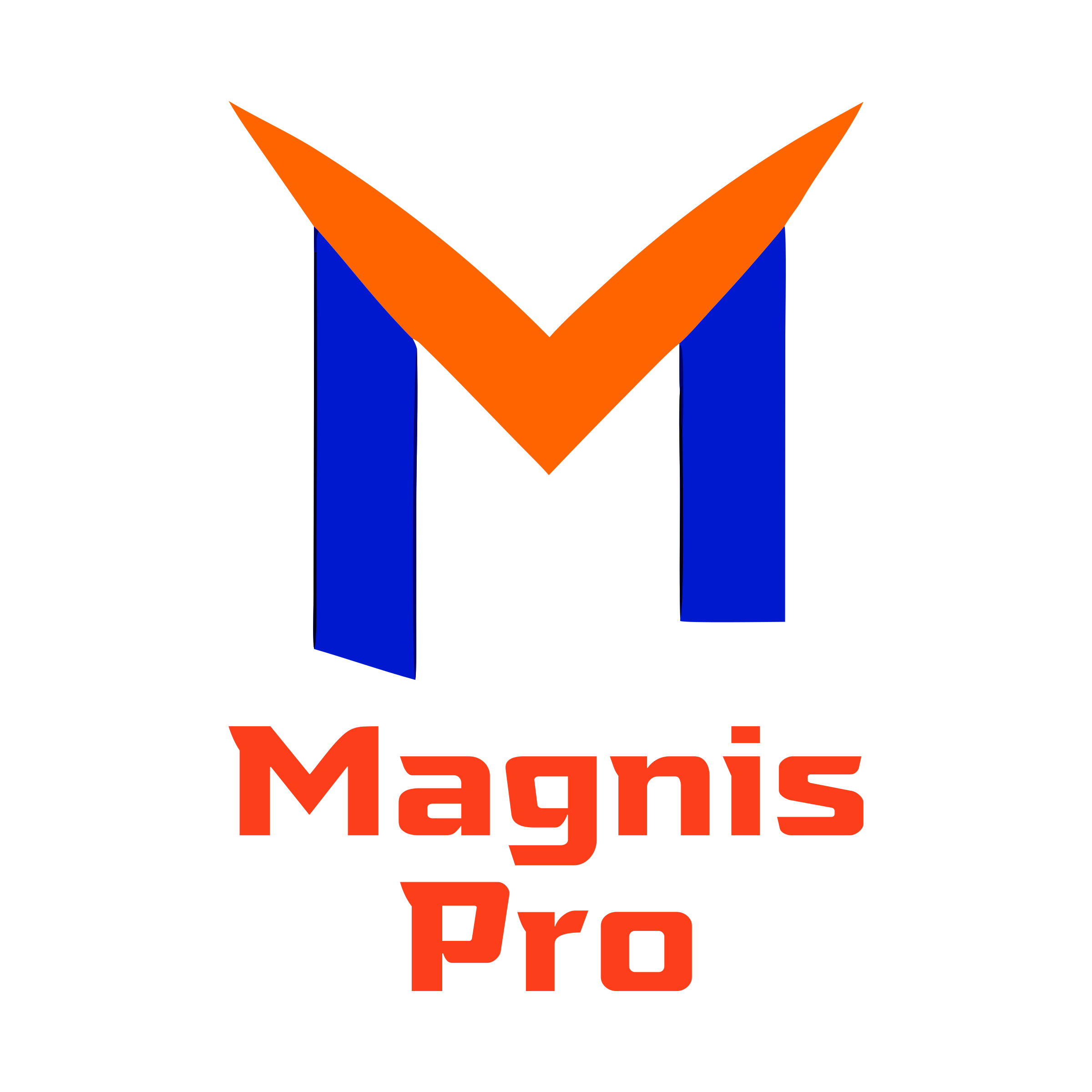 Company logo «Magnis Pro»