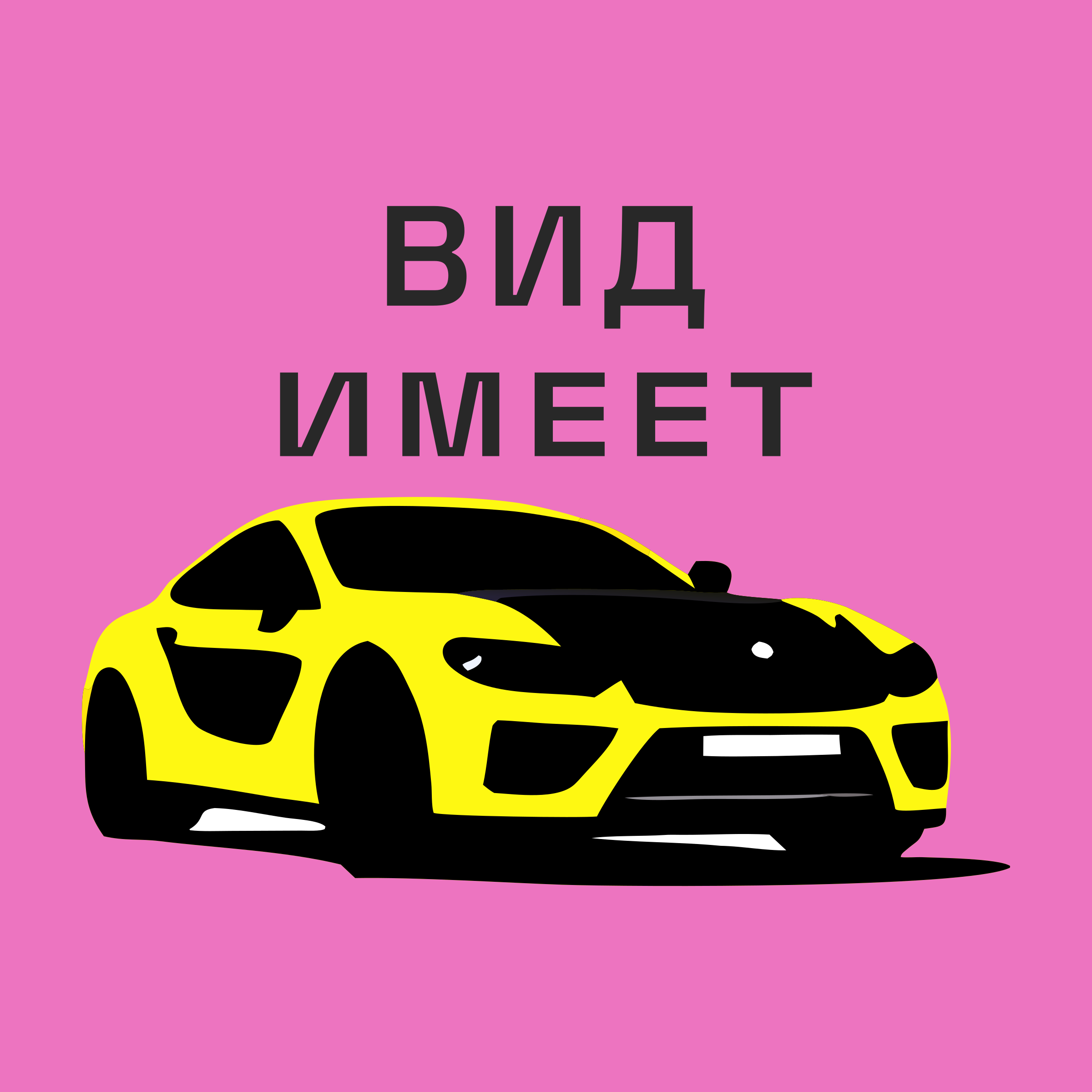 Логотип компании «Вид имеет»