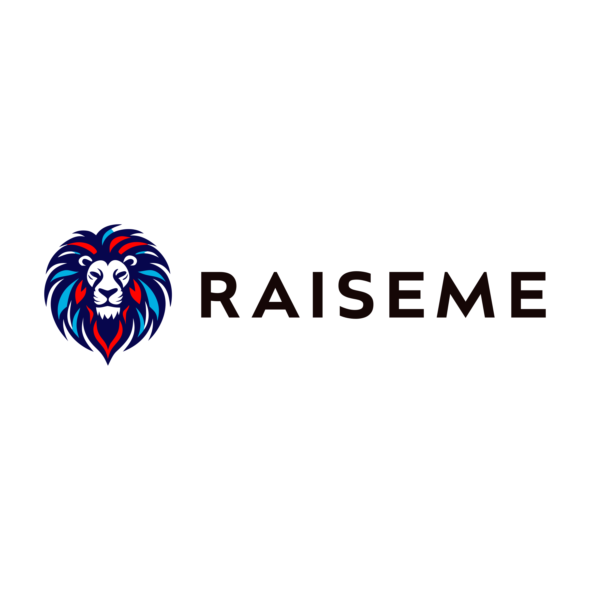 Company logo «RaiseMe»