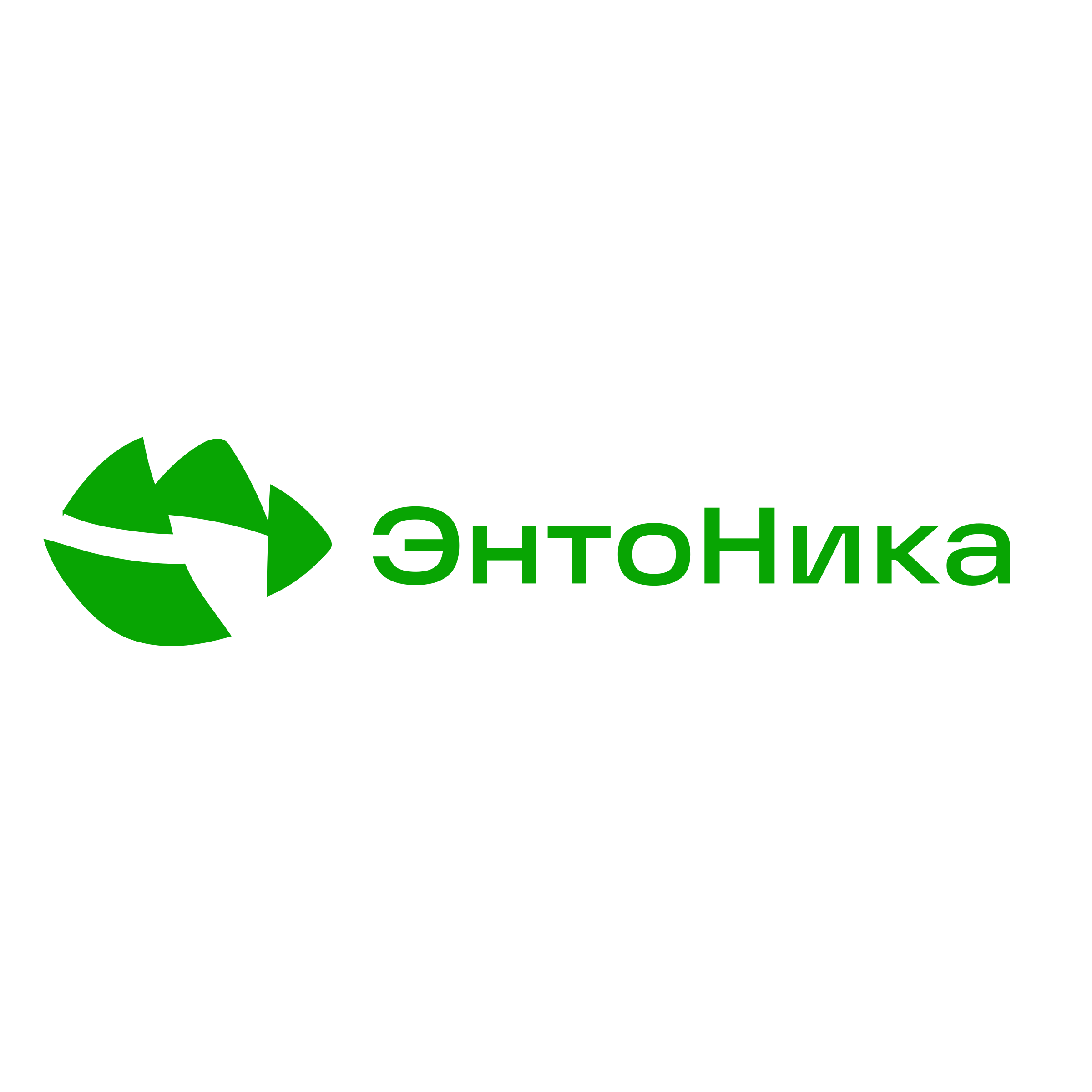 Логотип компании «ЭнтоНика»