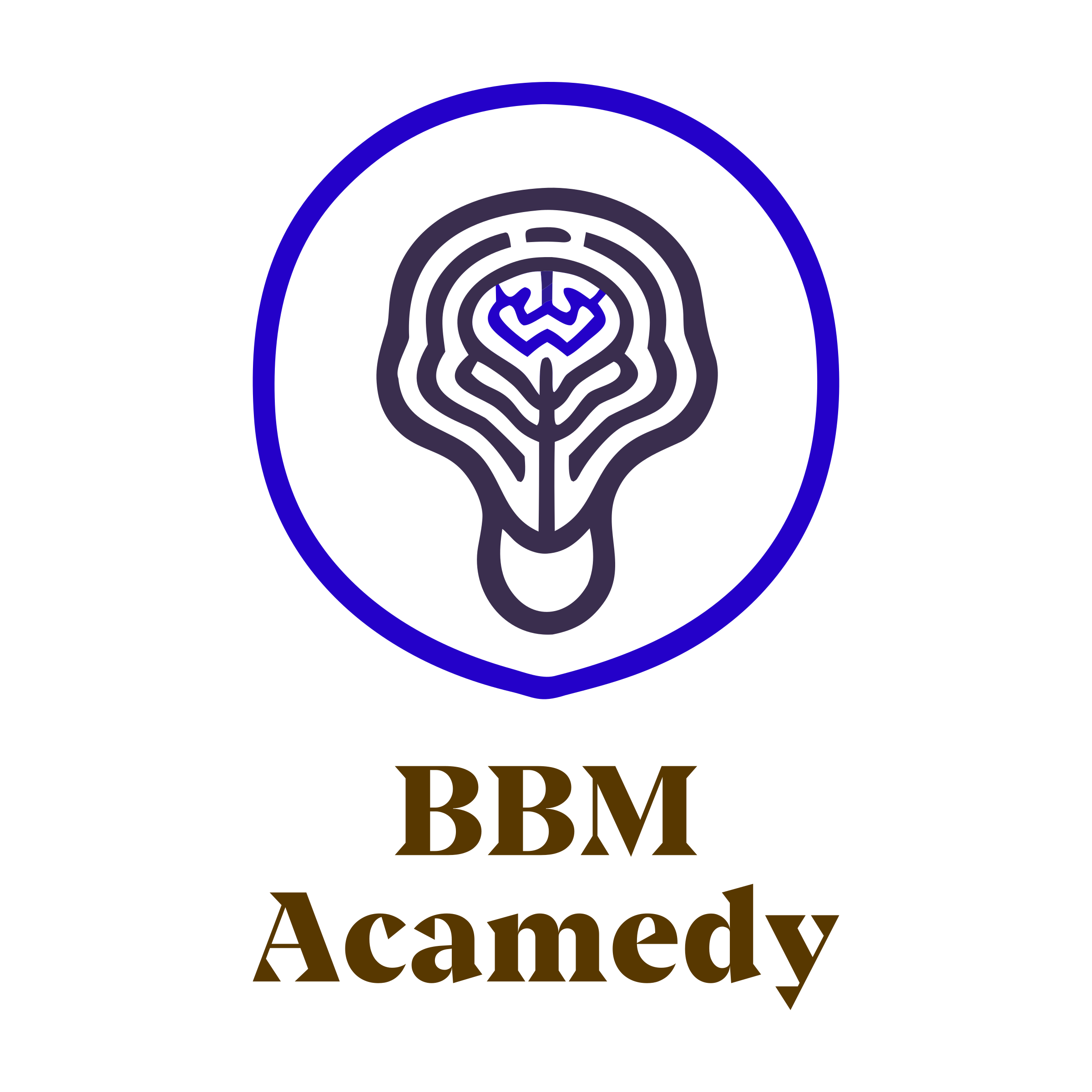 Company logo «BBM Acamedy»