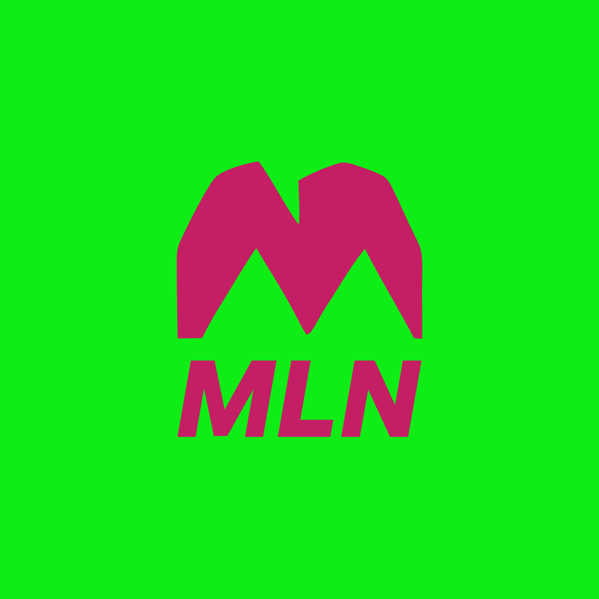 Company logo «MLN»