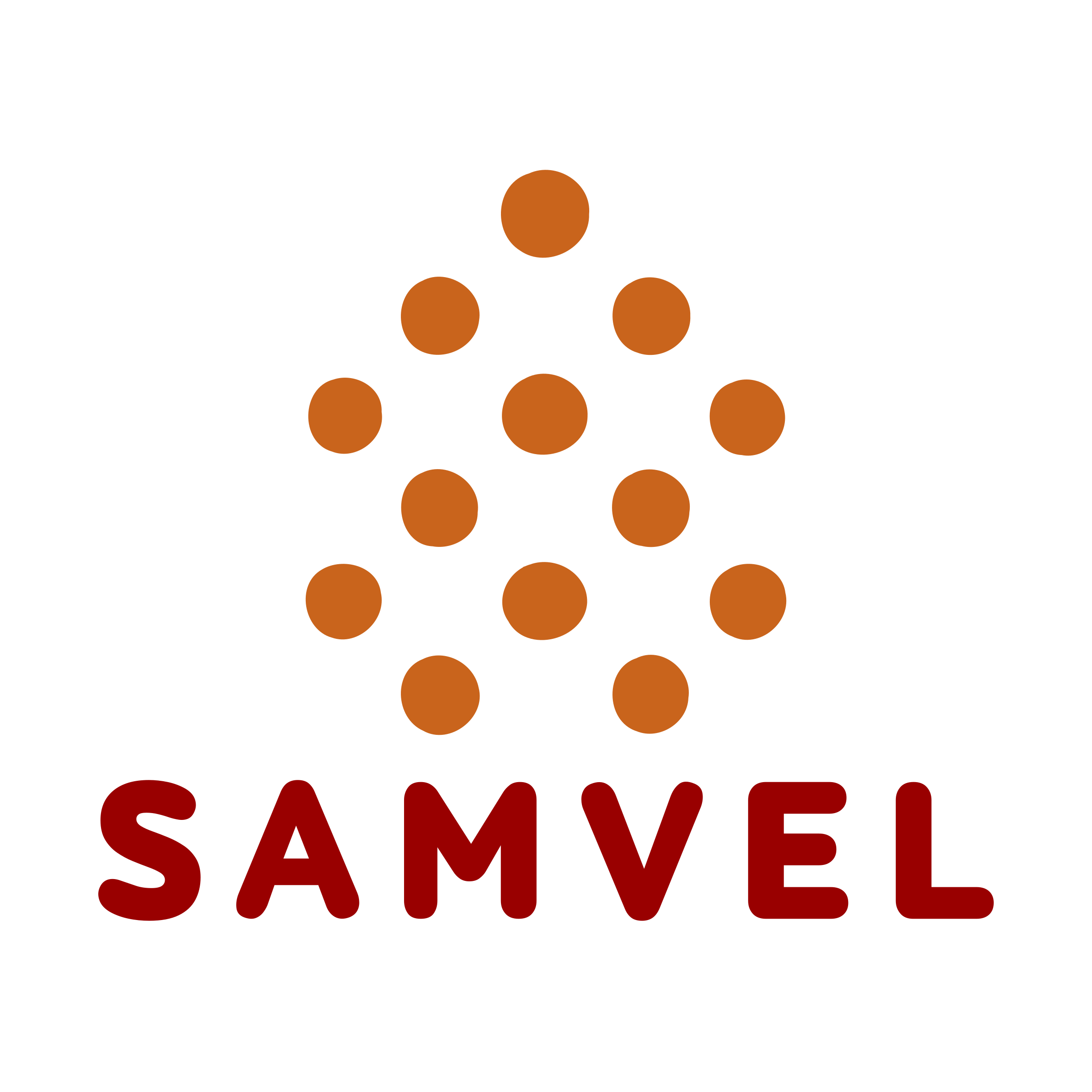 Логотип компании «Samvel»