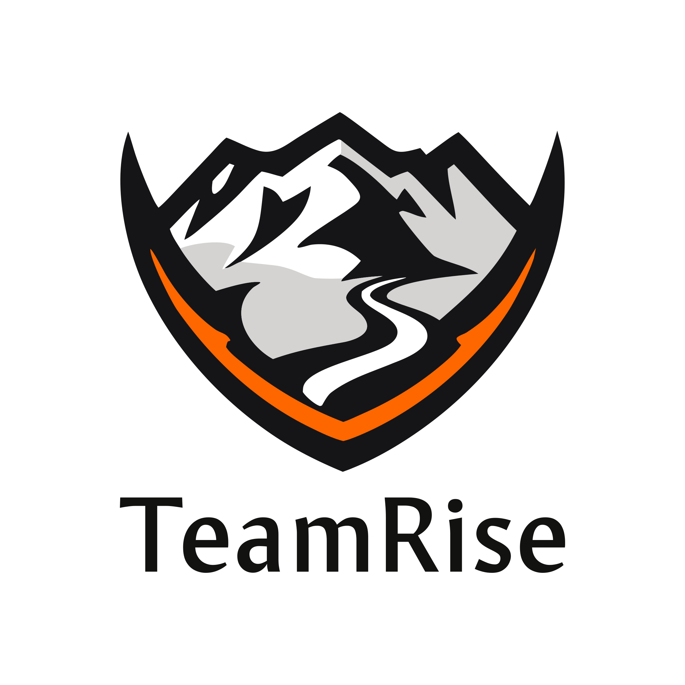 Company logo «TeamRise»