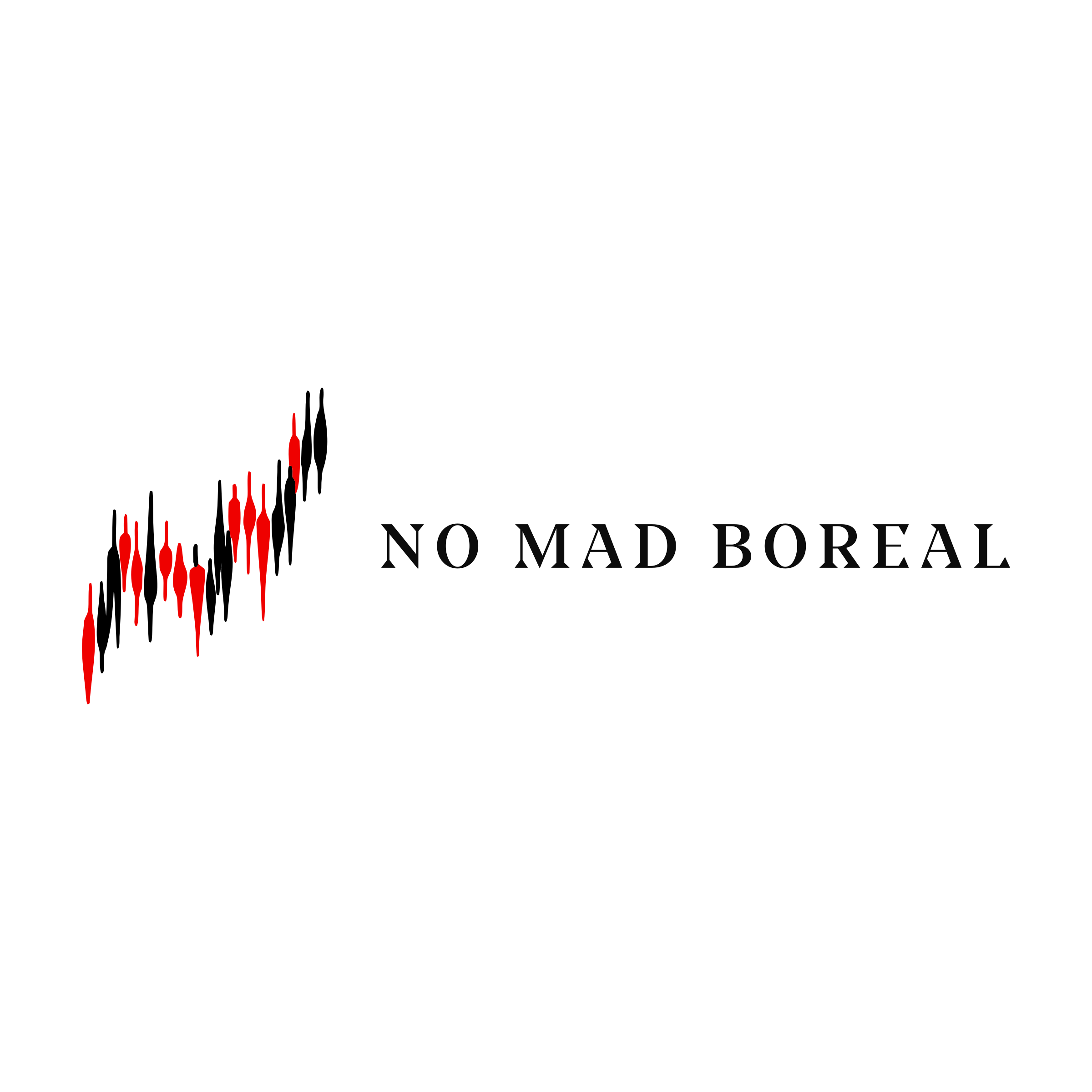 Company logo «No mad Boreal»