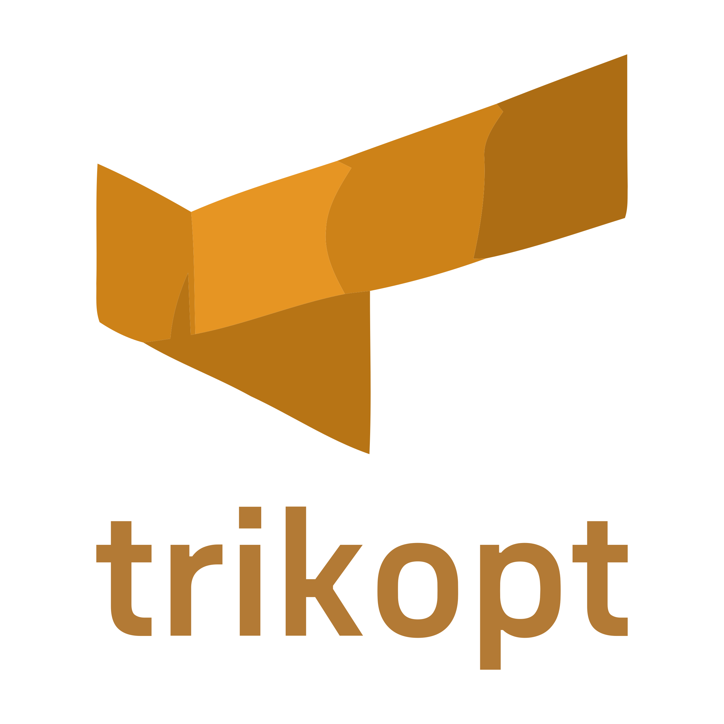 Company logo «trikopt»