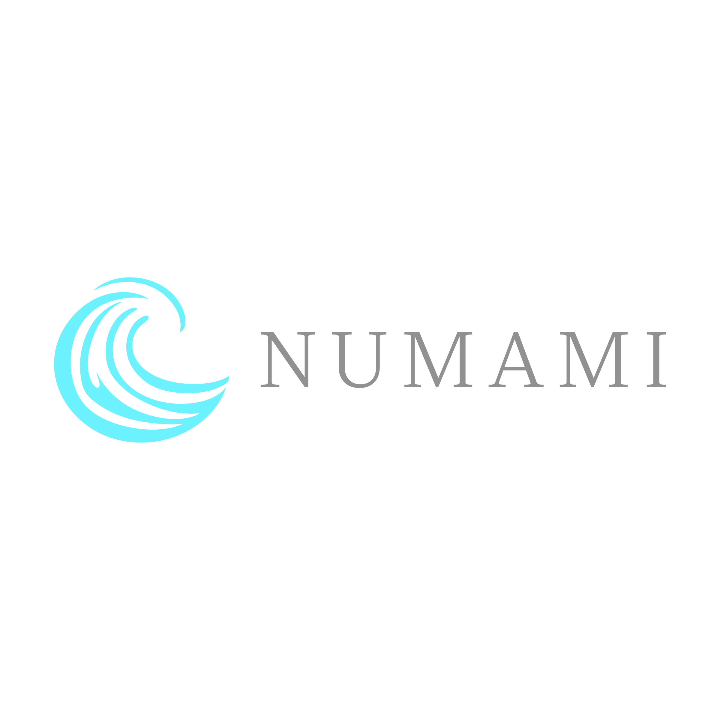 Company logo «numami»