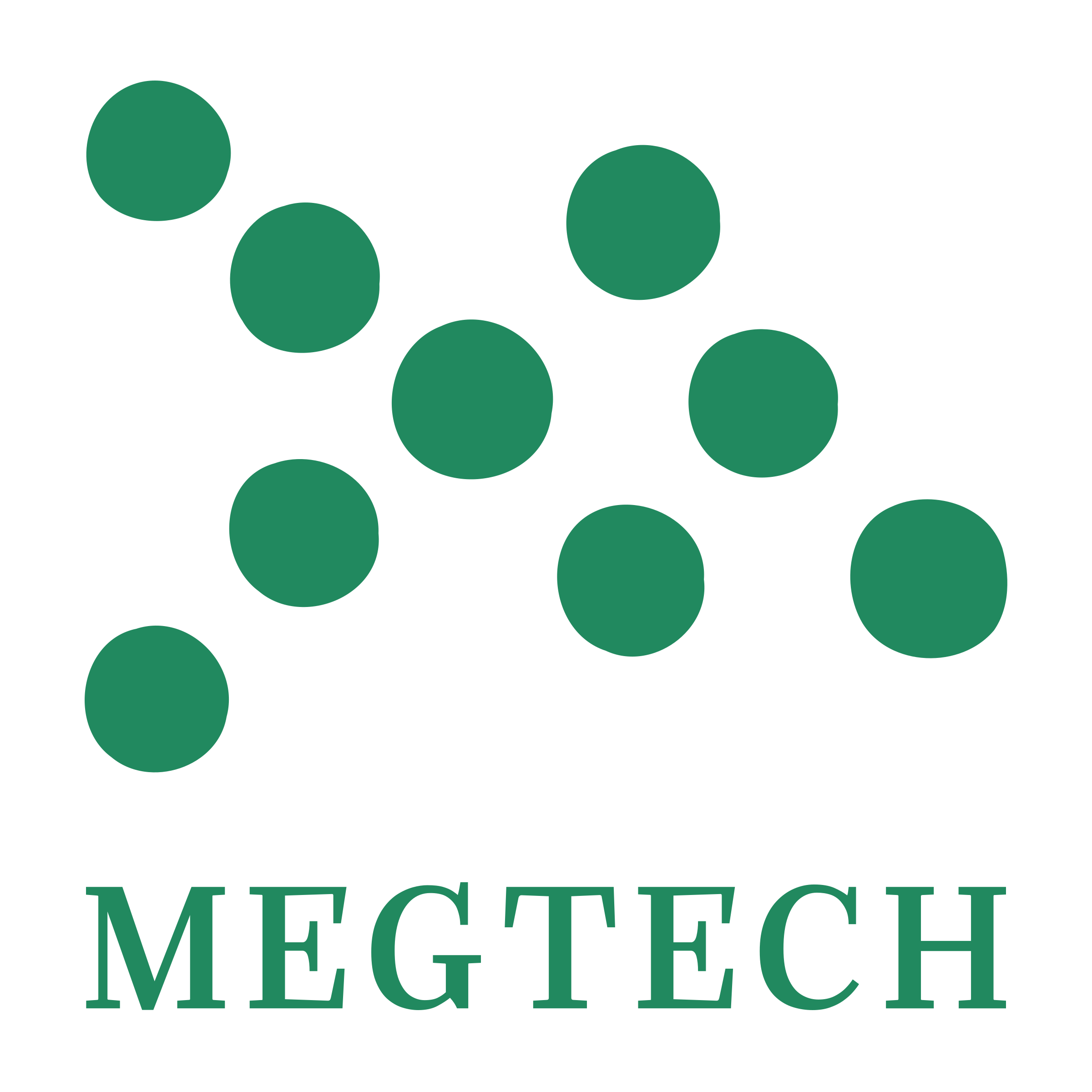 Company logo «MegTech»