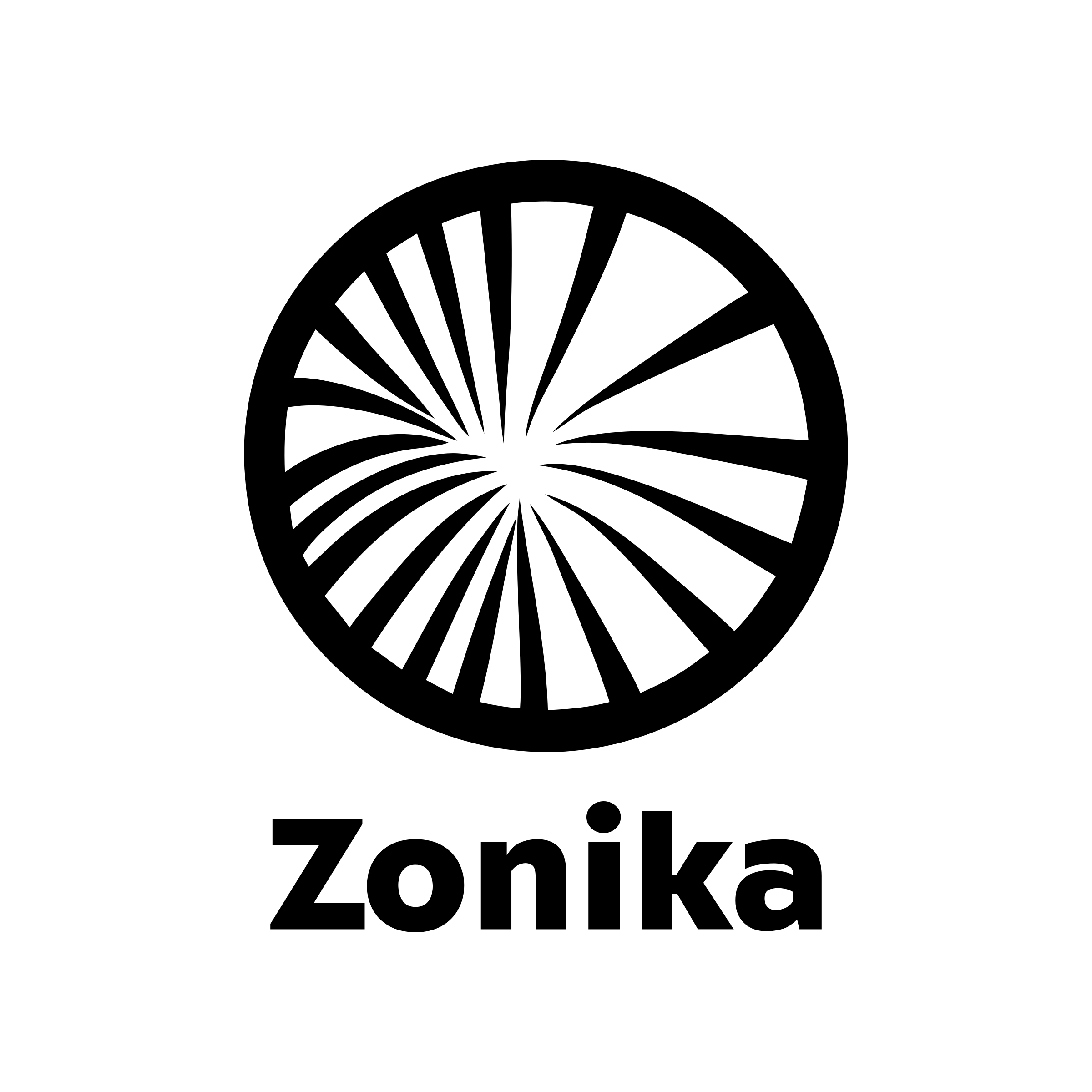 Логотип компании «Zonika»