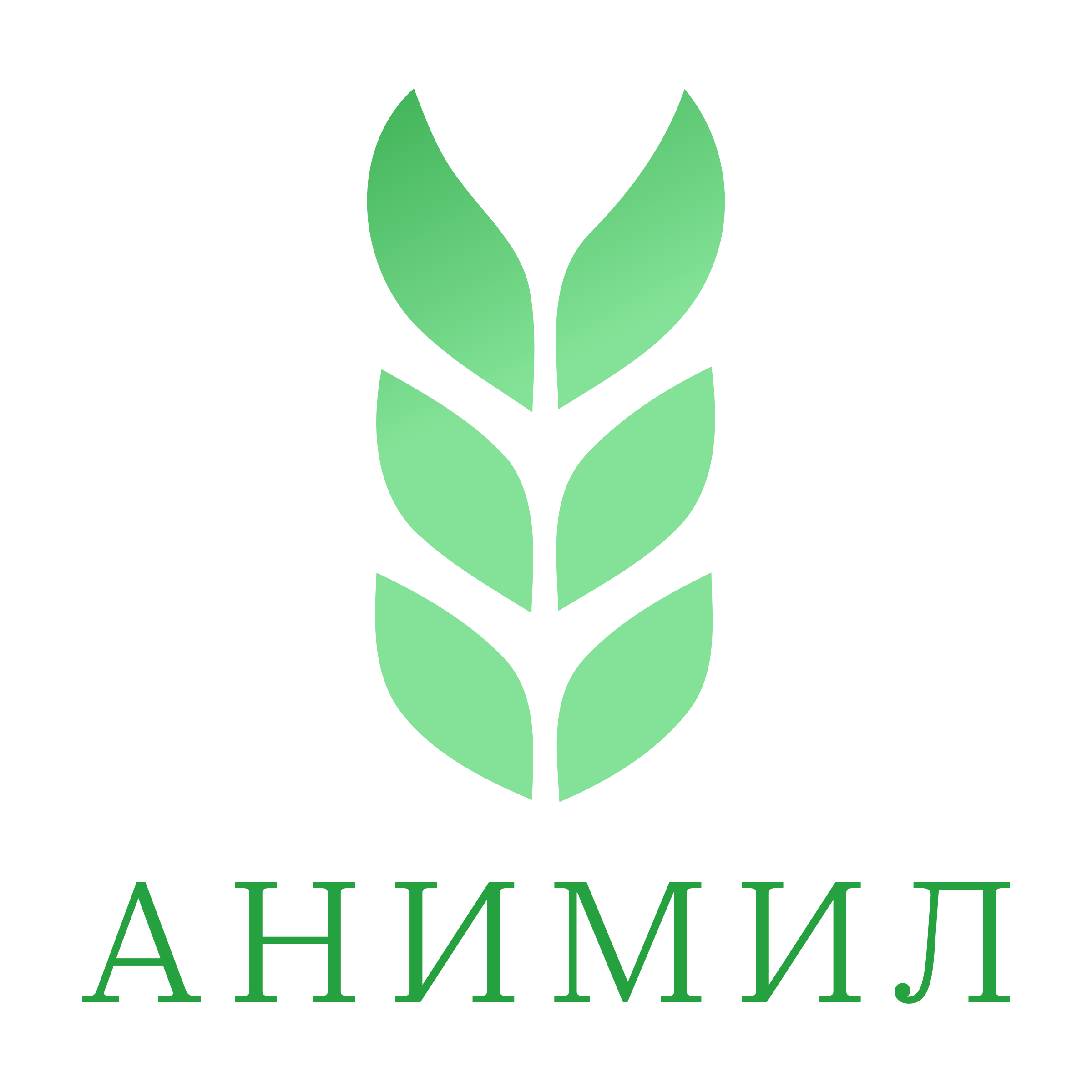 Логотип компании «Анимил»