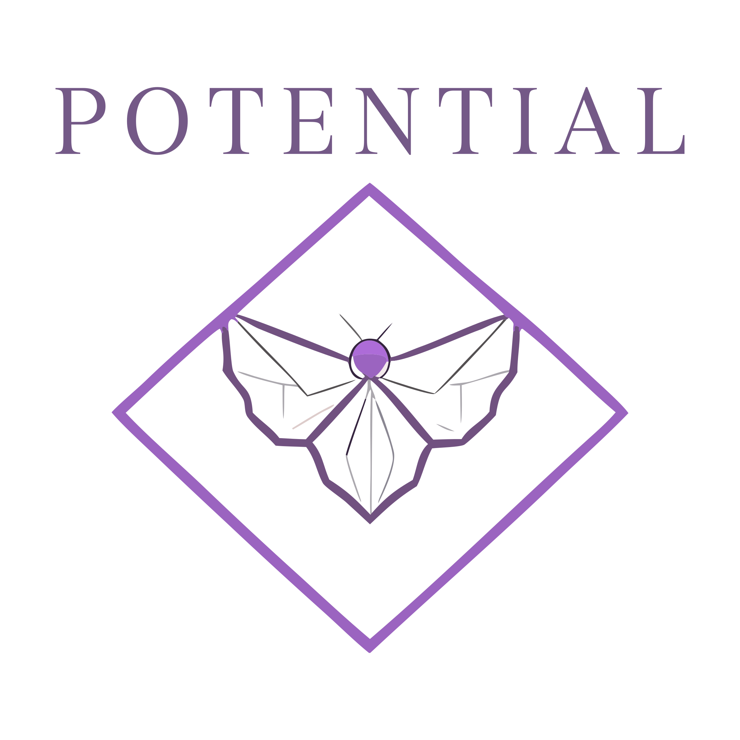 Company logo «Potential»