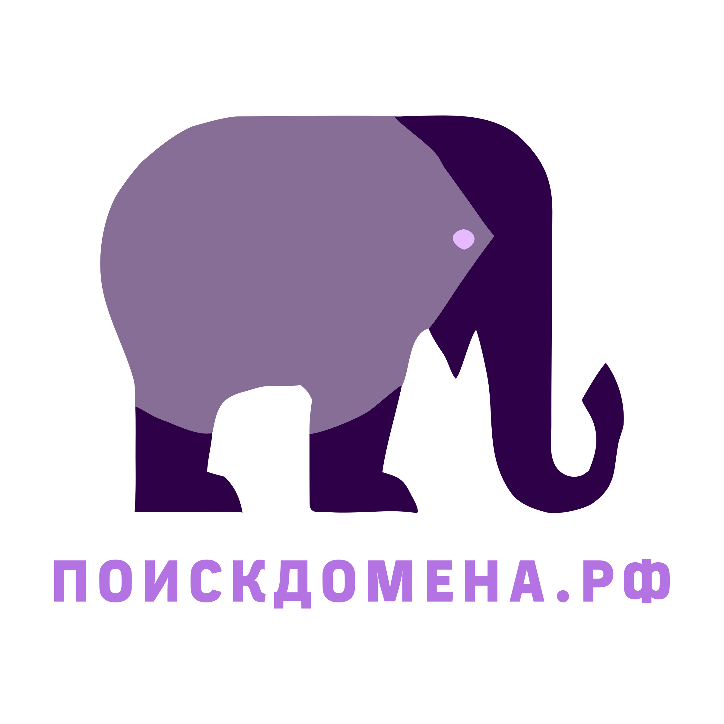 Логотип компании «поискдомена.рф»