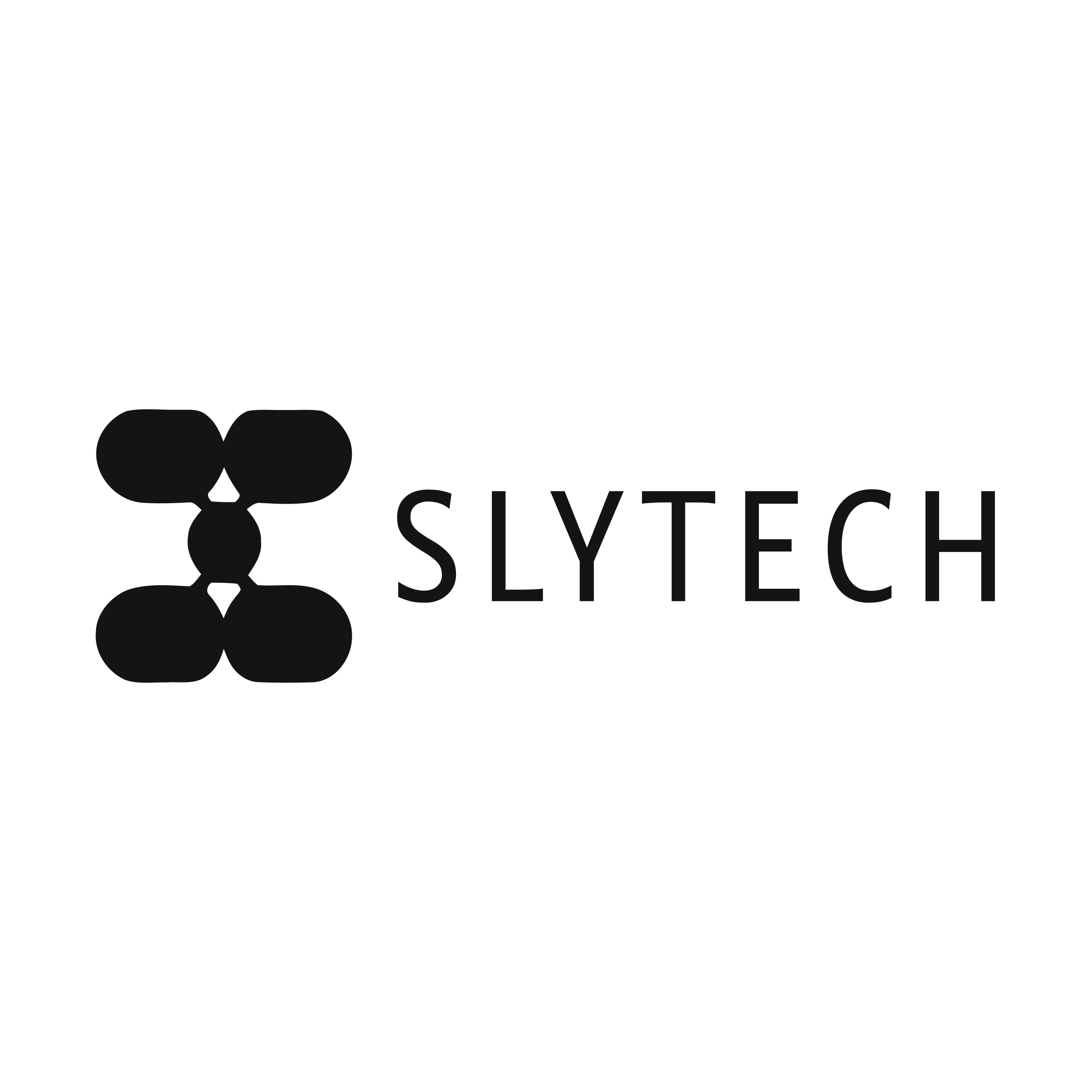 Company logo «Slytech»