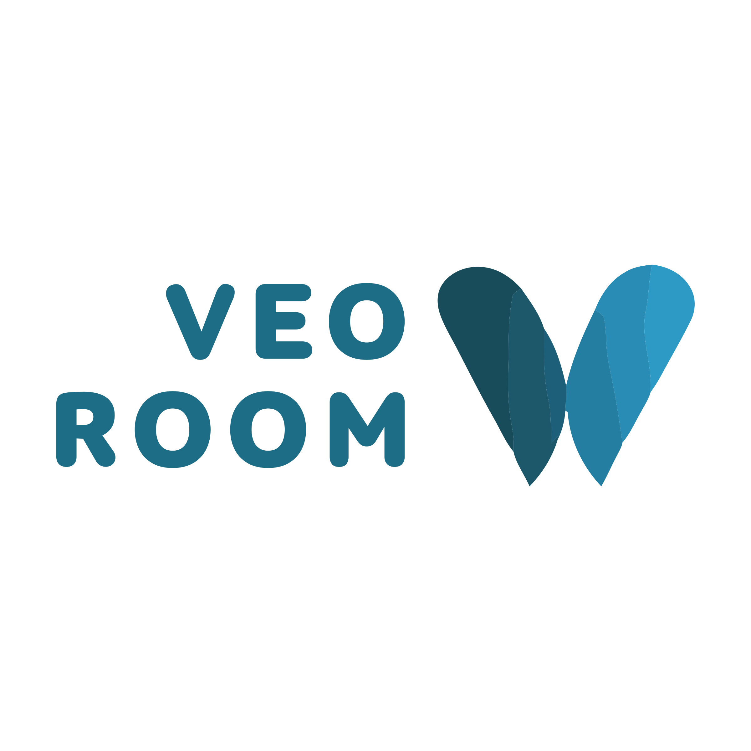 Company logo «VEO ROOM»