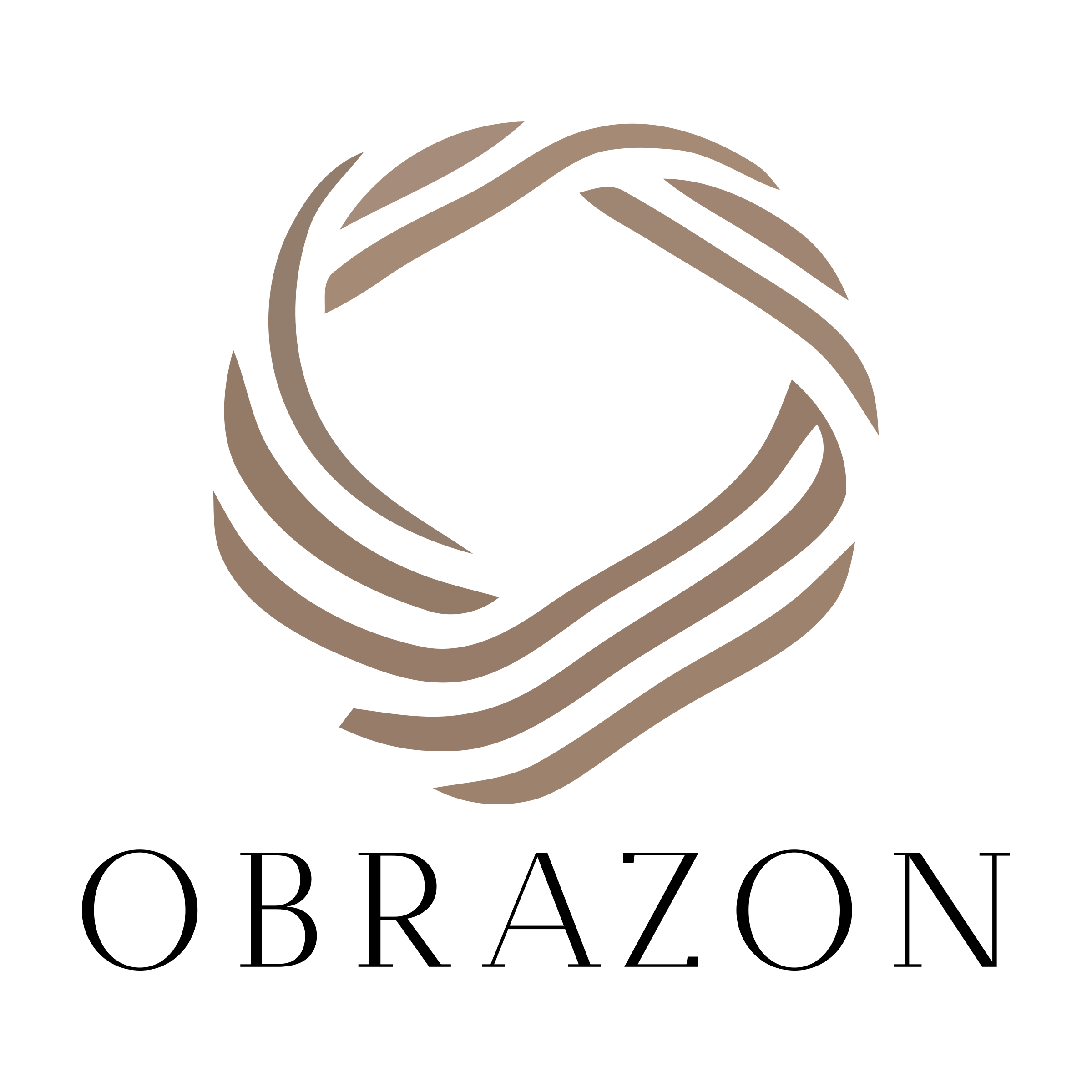 Company logo «obrazon»