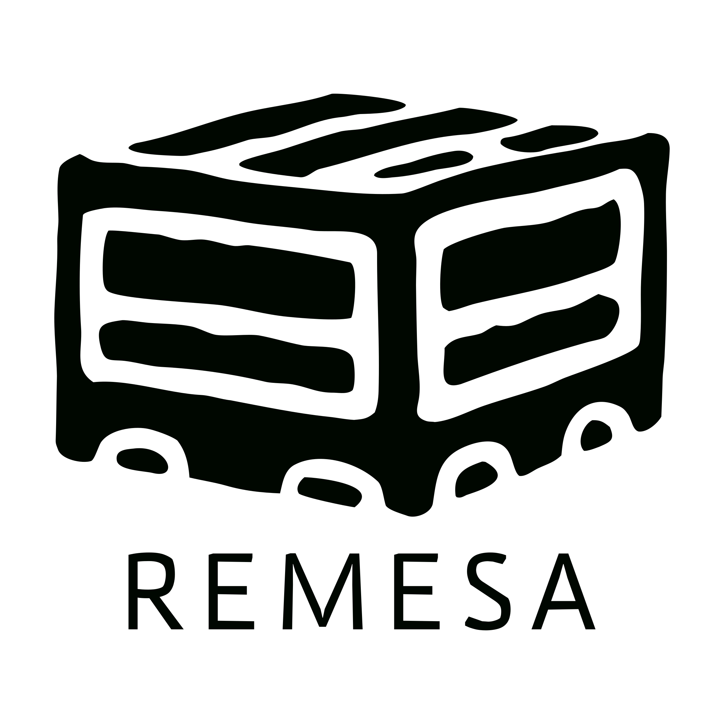 Логотип компании «Remesa»