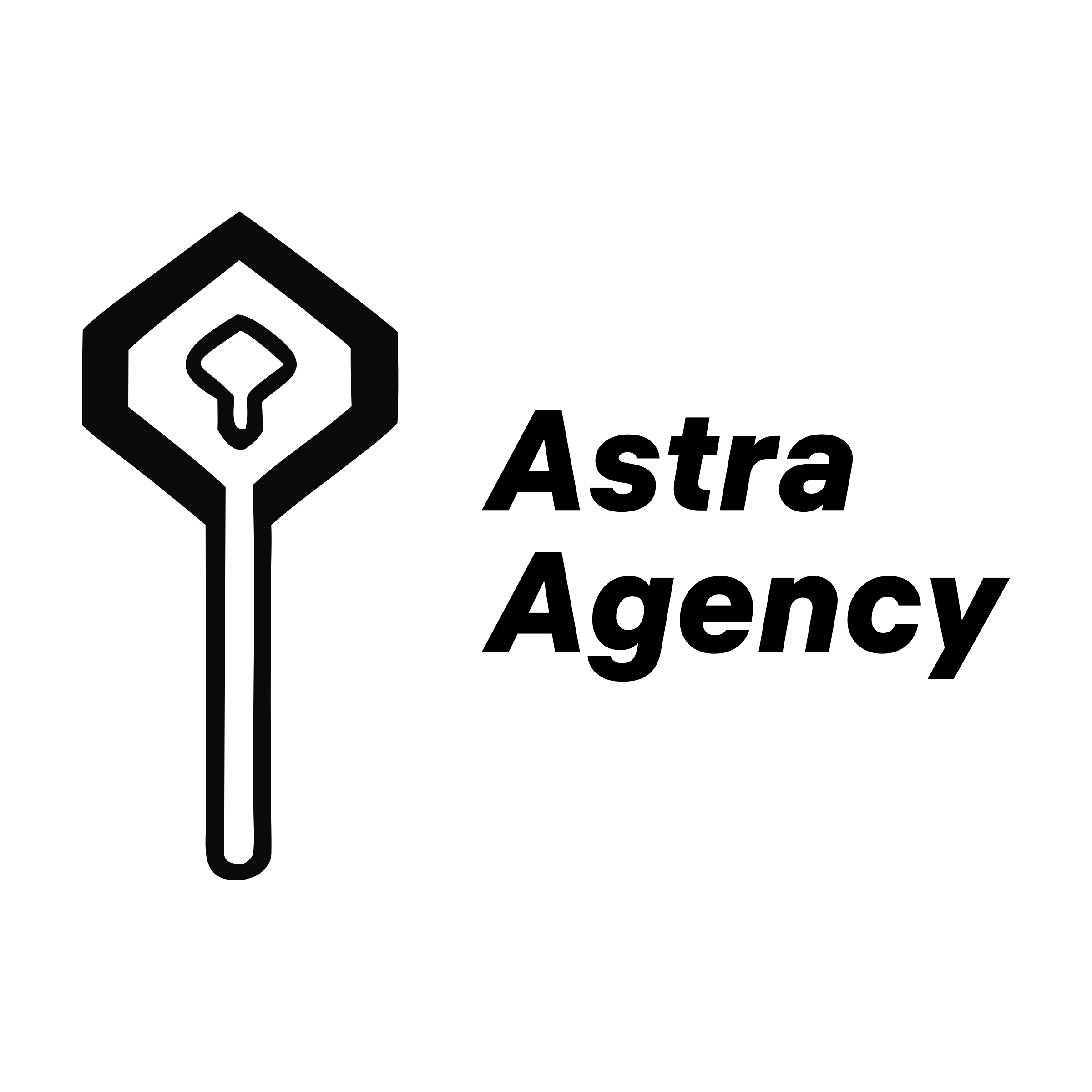 Company logo «Astra Agency»
