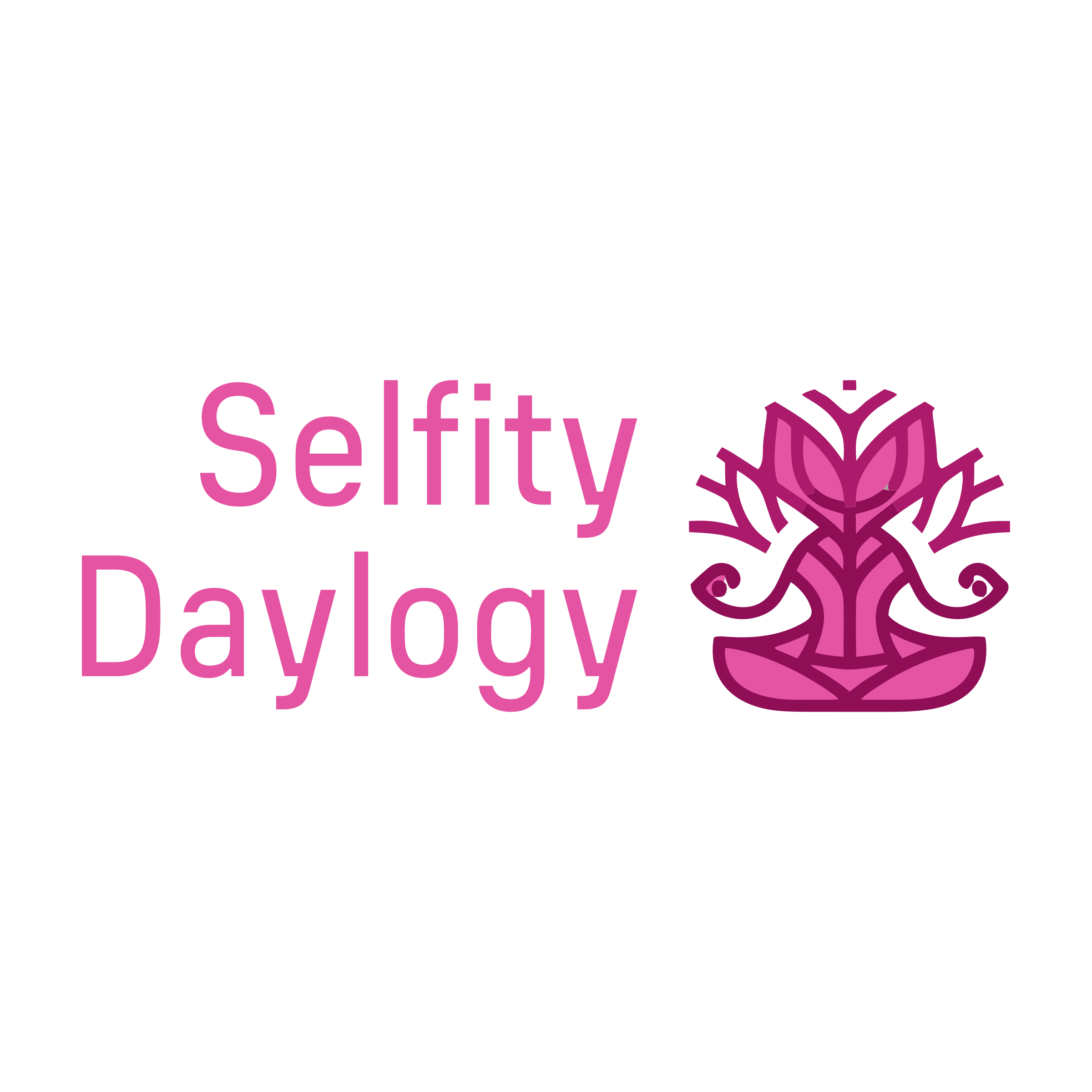 Company logo «Selfity Daylogy»