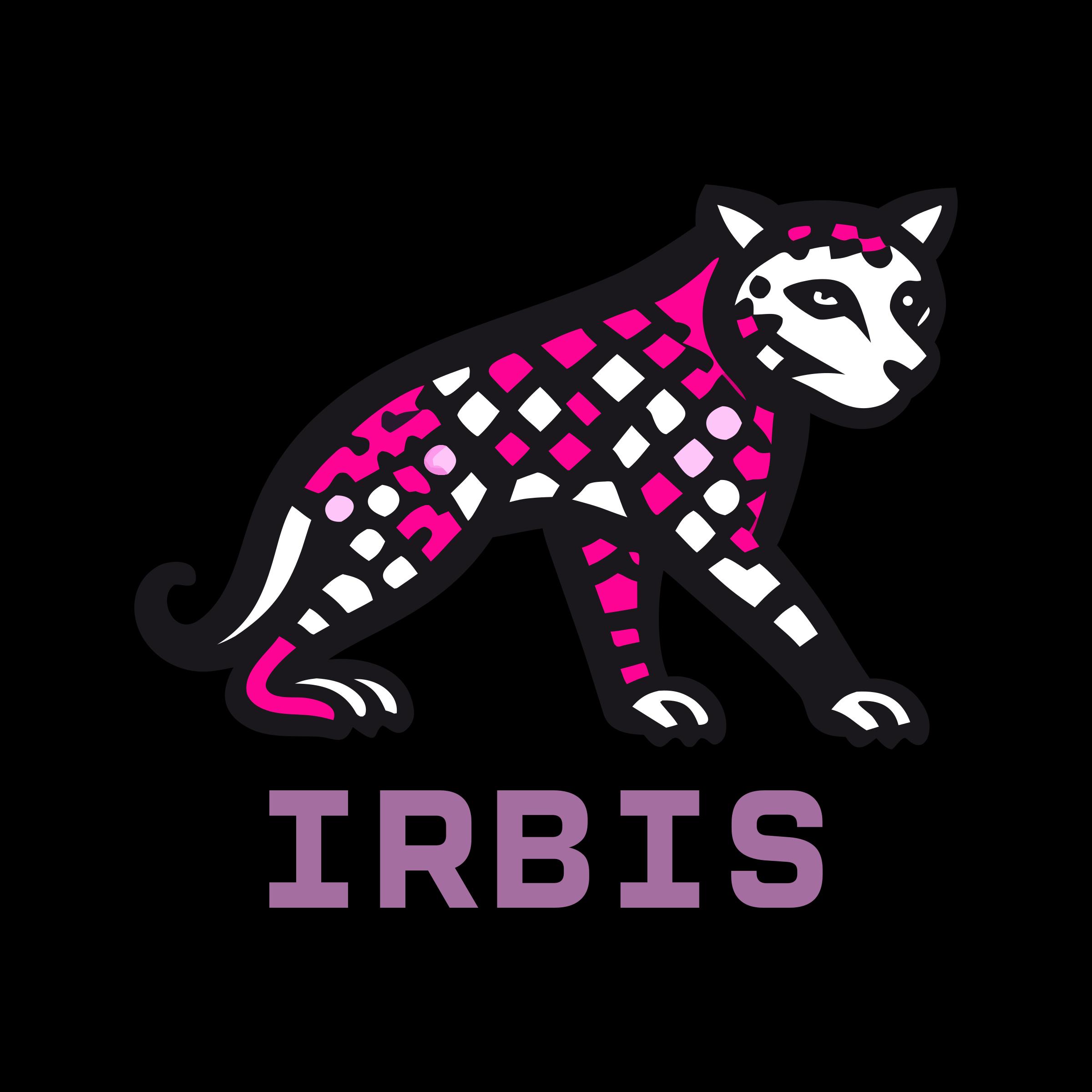 Company logo «IRBIS»