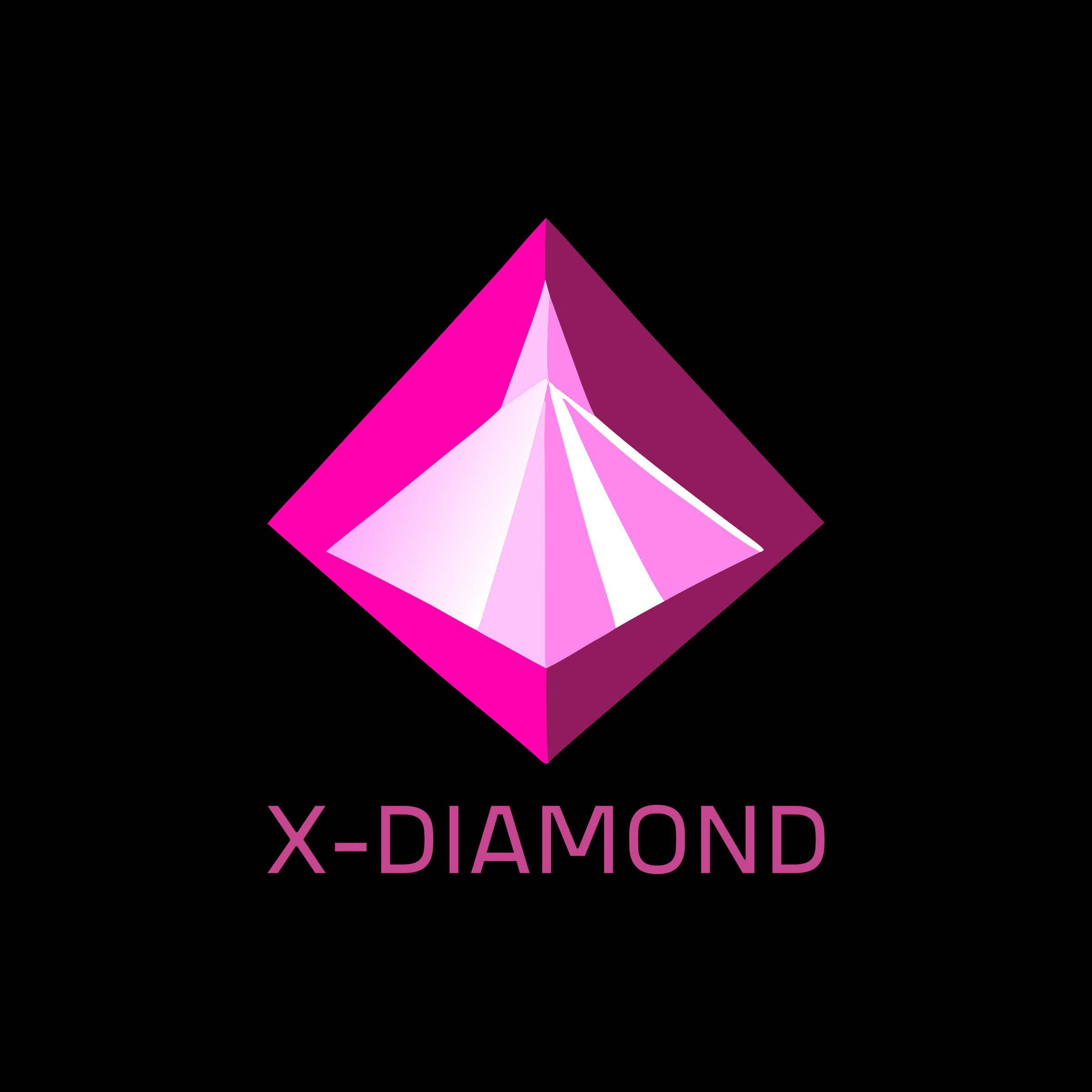 Company logo «X-DIAMOND»