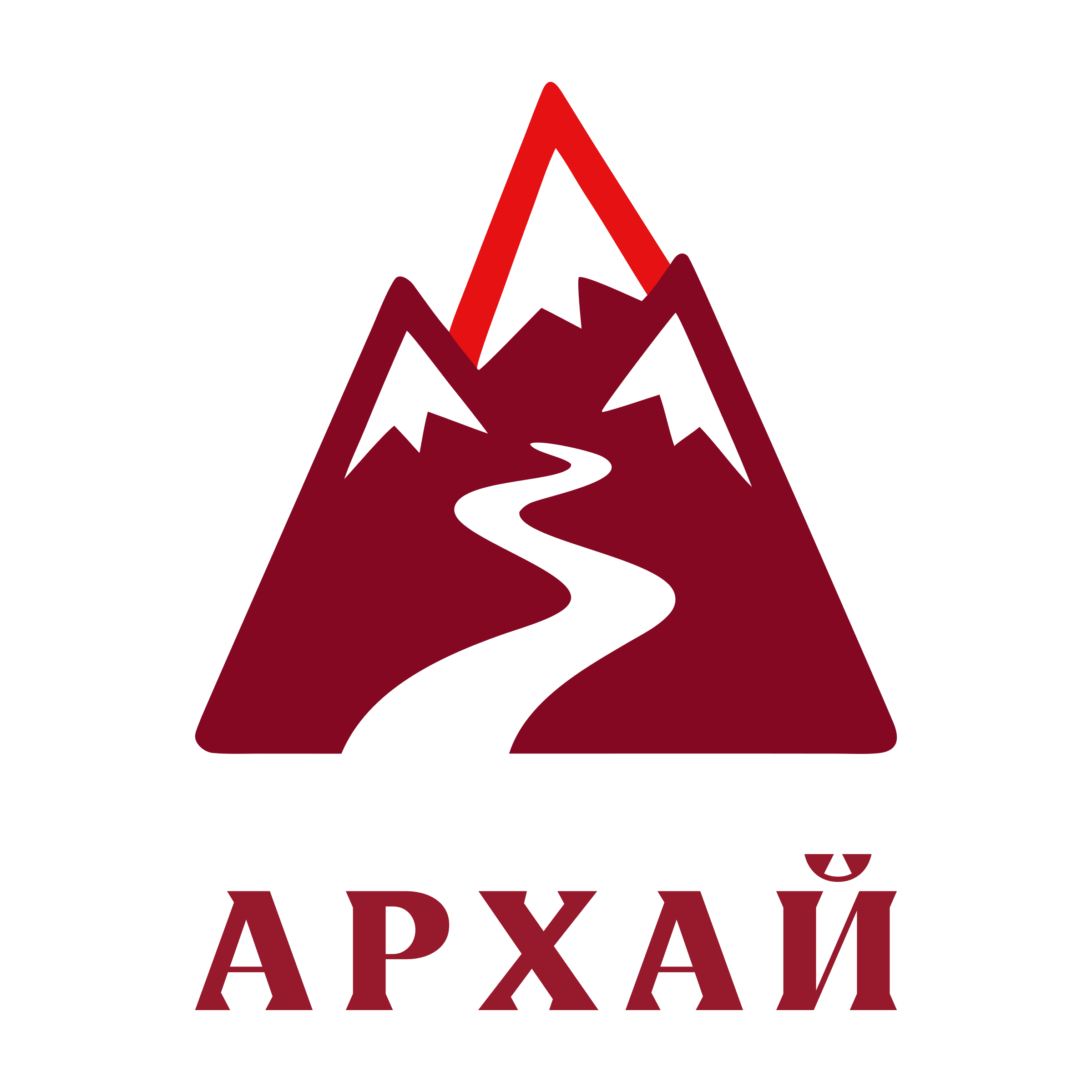 Логотип компании «Архай»