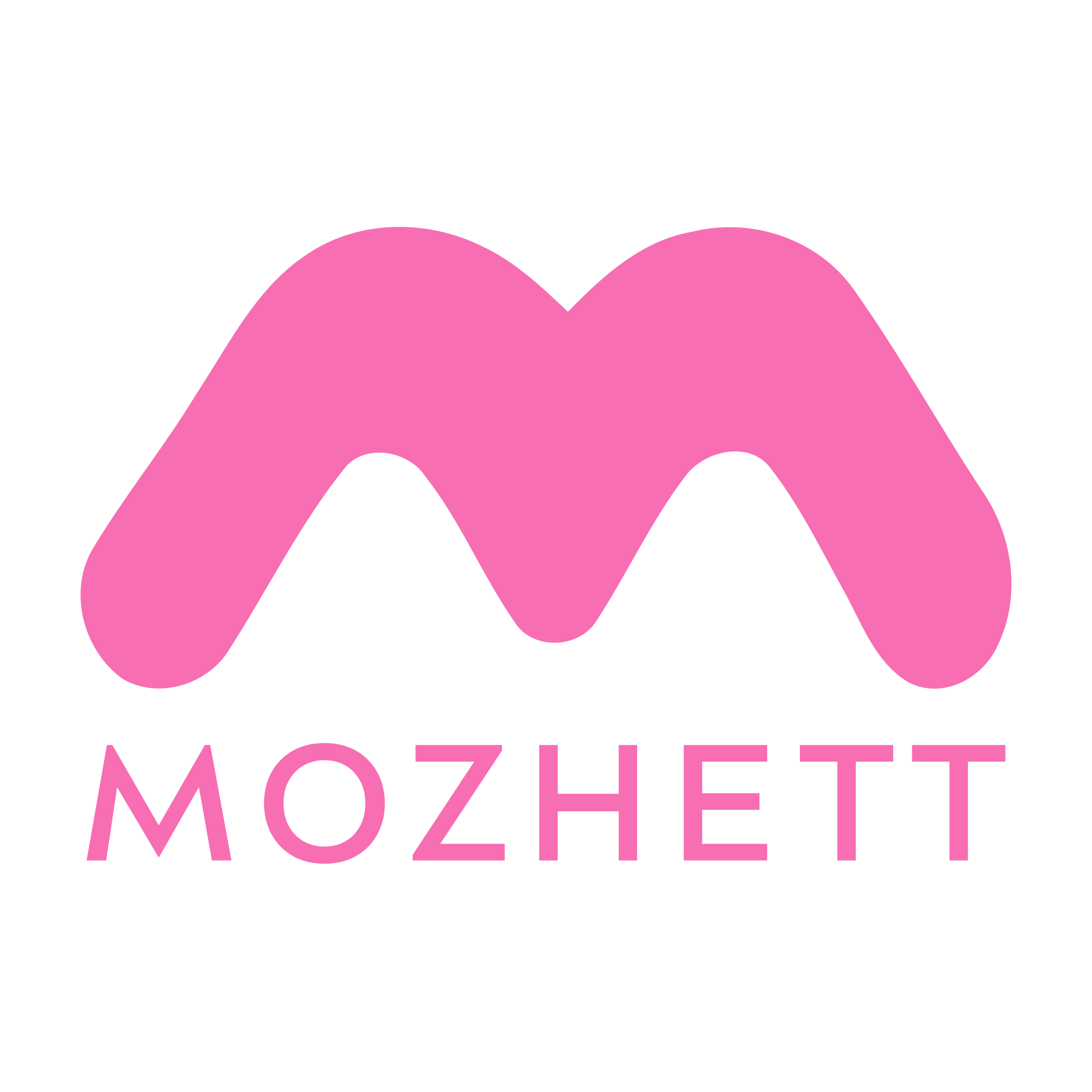 Company logo «MOZHETT»