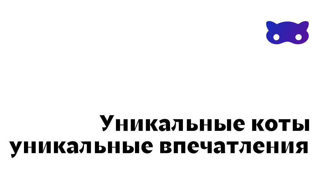Company logo «CATCOD.MEDIA» 5