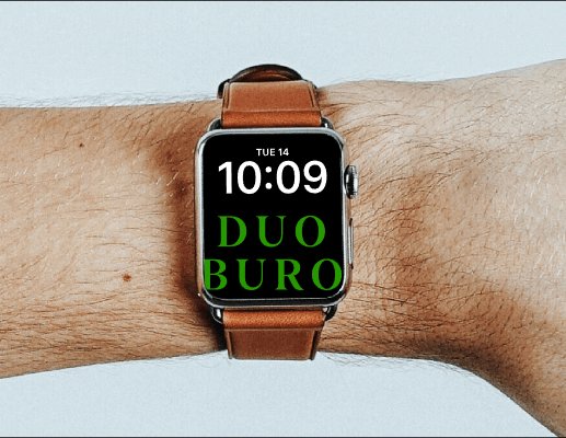 Logo of Duo Buro