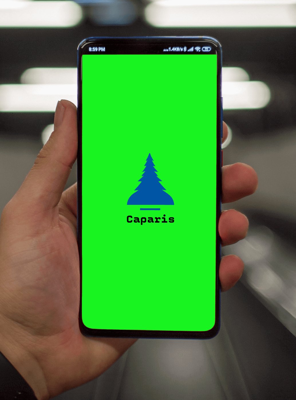 Logo of Caparis