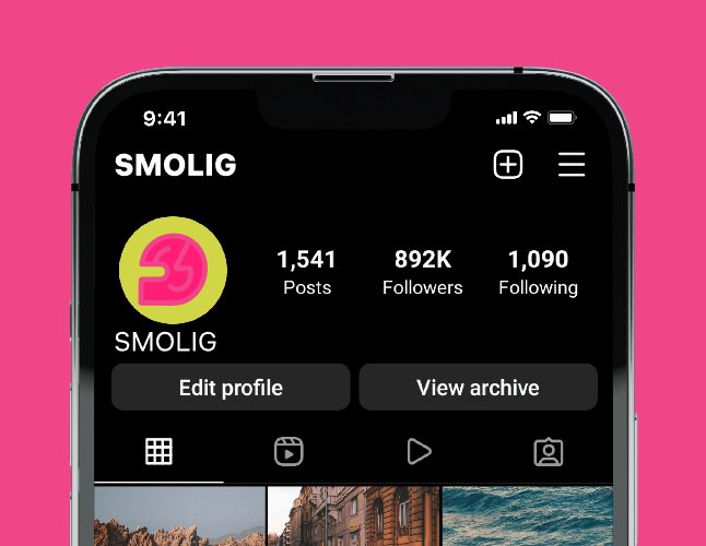 Logo of SMOLIG
