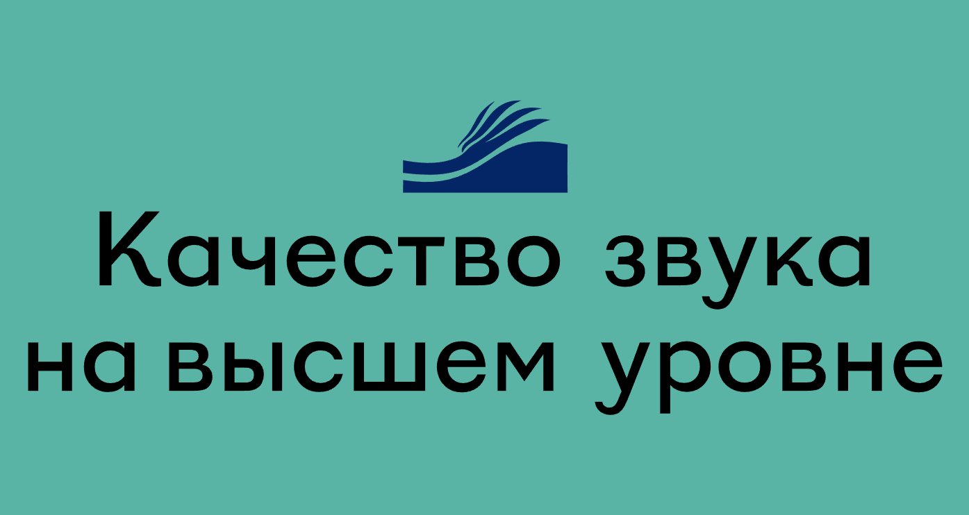 Company logo «2Acoustic» 5
