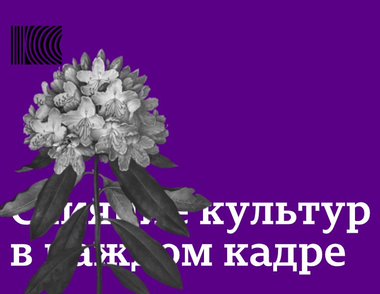 Logo of NEW Vision