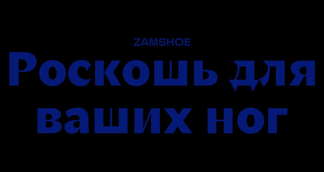 Company logo «ZAMSHOE» 5