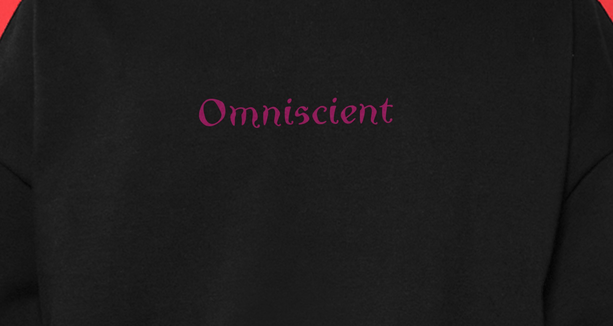 Logo of Omniscient