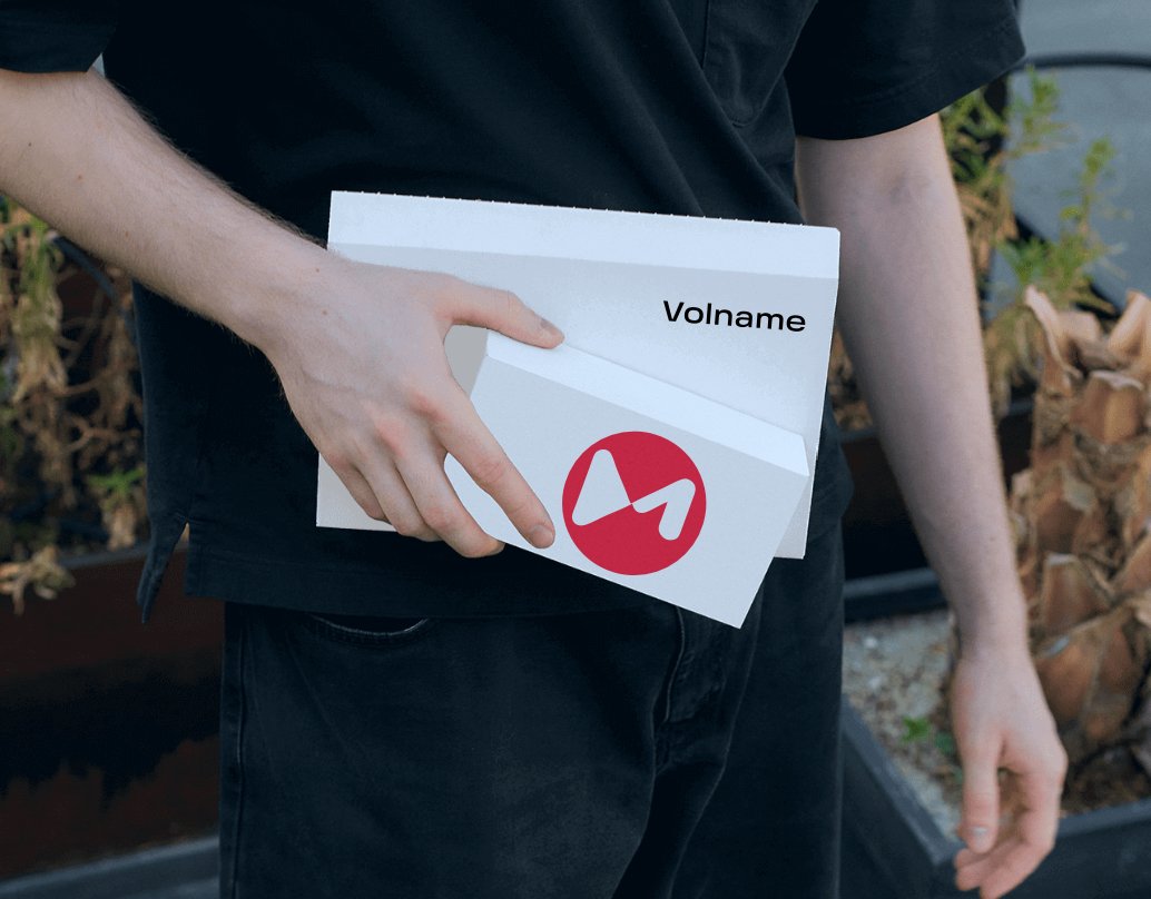 Company logo «Volname» 3