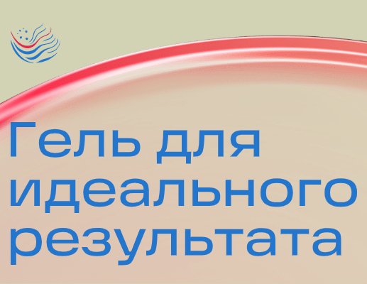 Logo of LeOsti
