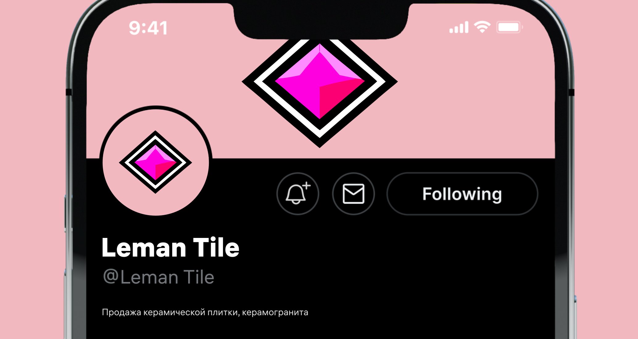Company logo «Leman Tile» 1