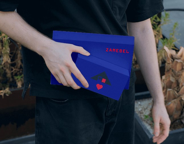 Logo of ZAMEBEL