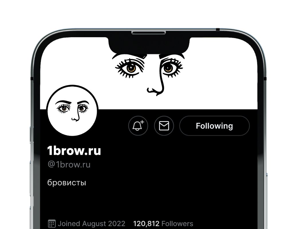 Logo of 1brow.ru
