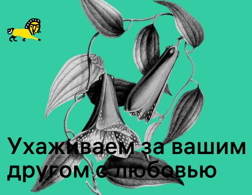 Logo of grum-grum.ru