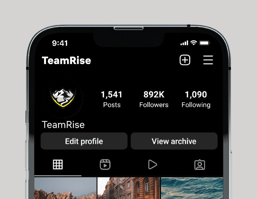 Logo of TeamRise