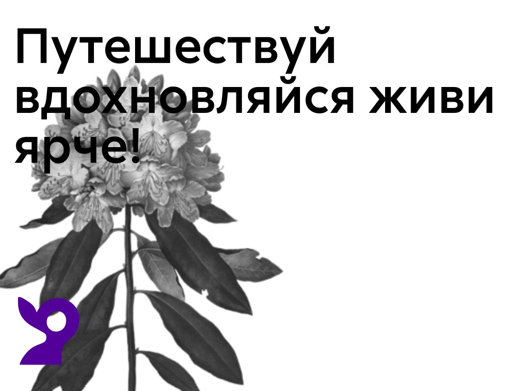 Company logo «RODIONOV TOUR» 5