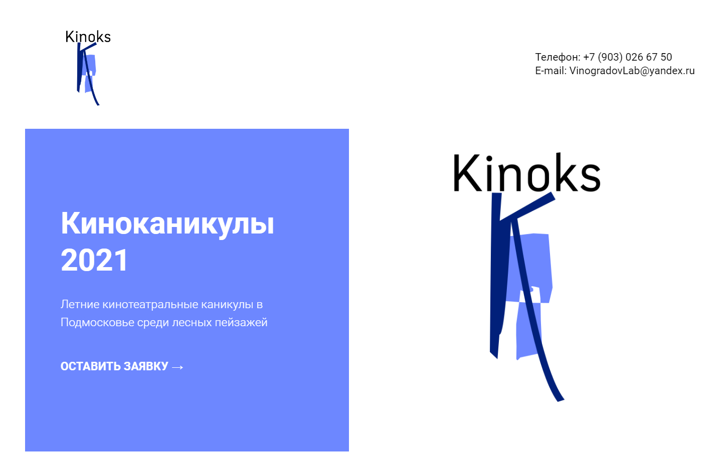 Logo of Kinoks