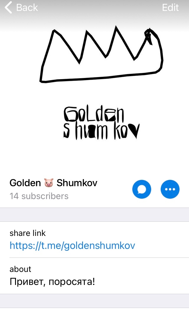 Logo of Golden Shumkov