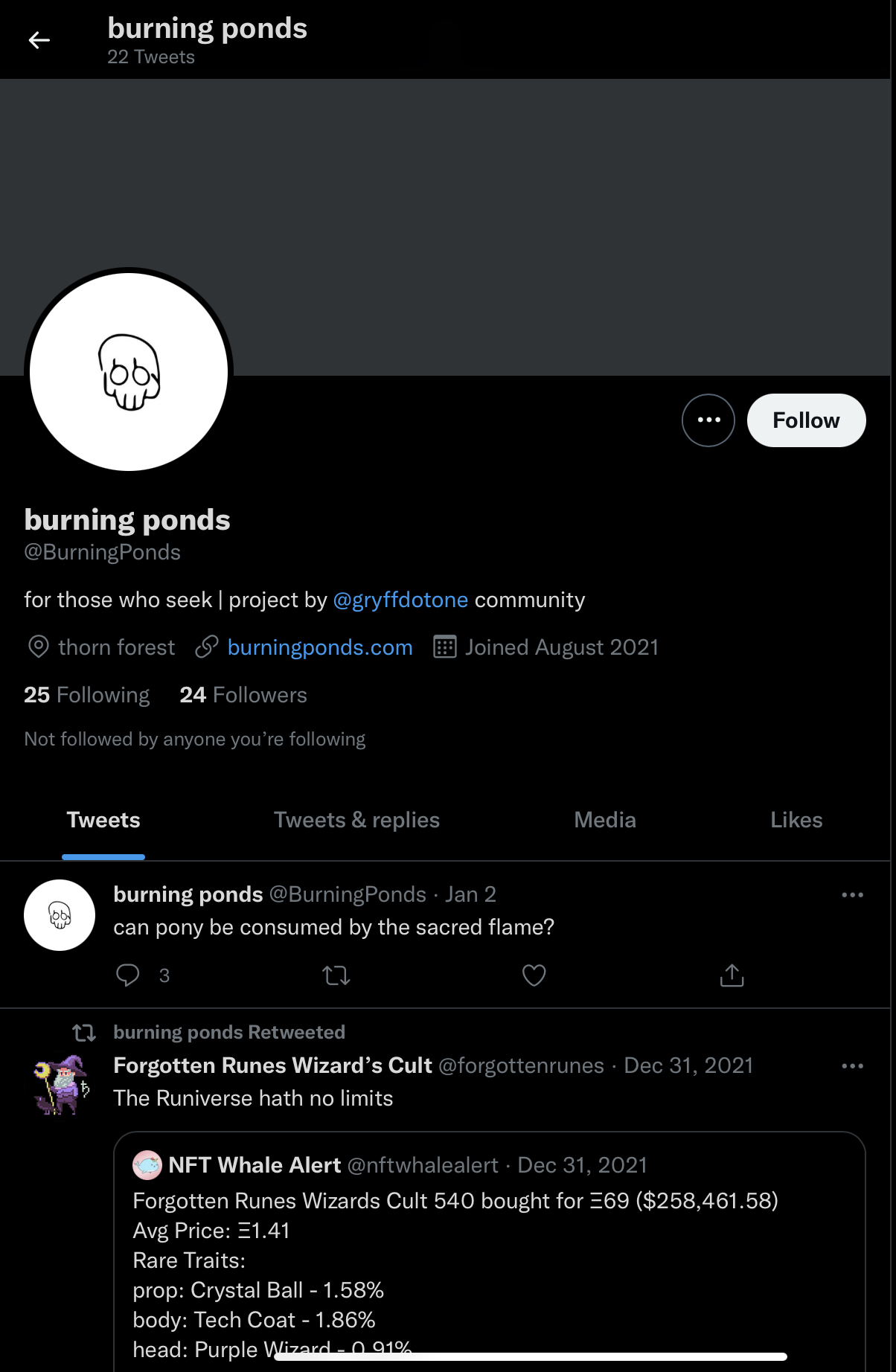 Company logo «burning ponds» 2